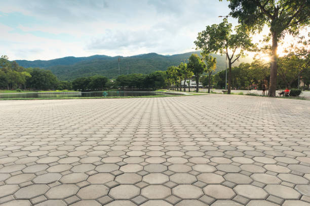Best Custom Driveway Pavers  in Spring Hill, TN