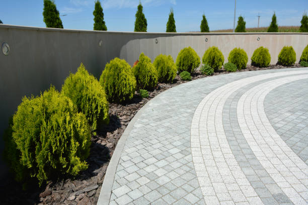 Best Commercial Driveway Pavers  in Spring Hill, TN